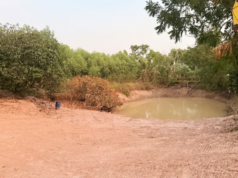 บ้านเดี่ยวพร้อมที่ดินนาดี ปราจีนบุรี, Prachin Buri, Saphan Hin, Na Di, Prachin Buri, 3 Bedrooms, 150 sqm, Single Detached House For Sale, by The Best Property  ส้มโอ, 500236779 - DDproperty.com