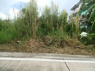 ขาย - ที่ดินพระสมุทรเจดีย์ สมุทรปราการ, สมุทรปราการ