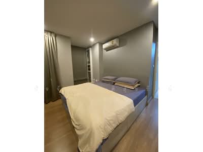 For Rent - Tree Condo Sukhumvit 50, Bangkok