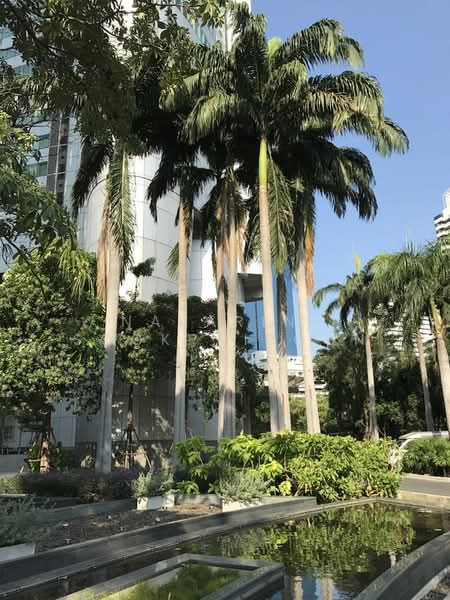 Millennium Residence : มิลเลนเนียม เรสซิเดนซ์, กรุงเทพ, ซอยสุขุมวิท 20 ถนนสุขุมวิท แขวงคลองเตยเหนือ เขตวัฒนา กรุงเทพมหานคร, คลองเตย, คลองเตย, กรุงเทพ, 90 ตร.ม., คอนโด ให้เช่า, โดย Nakarin Sookpaiboon, 500236956 - DDproperty.com