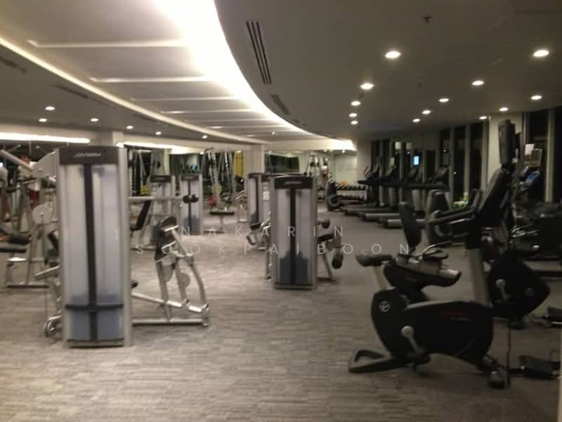 Millennium Residence : มิลเลนเนียม เรสซิเดนซ์, กรุงเทพ, ซอยสุขุมวิท 20 ถนนสุขุมวิท แขวงคลองเตยเหนือ เขตวัฒนา กรุงเทพมหานคร, คลองเตย, คลองเตย, กรุงเทพ, 90 ตร.ม., คอนโด ให้เช่า, โดย Nakarin Sookpaiboon, 500236956 - DDproperty.com