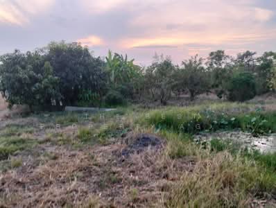 ขาย - ที่ดินสามโก้ อ่างทอง, อ่างทอง