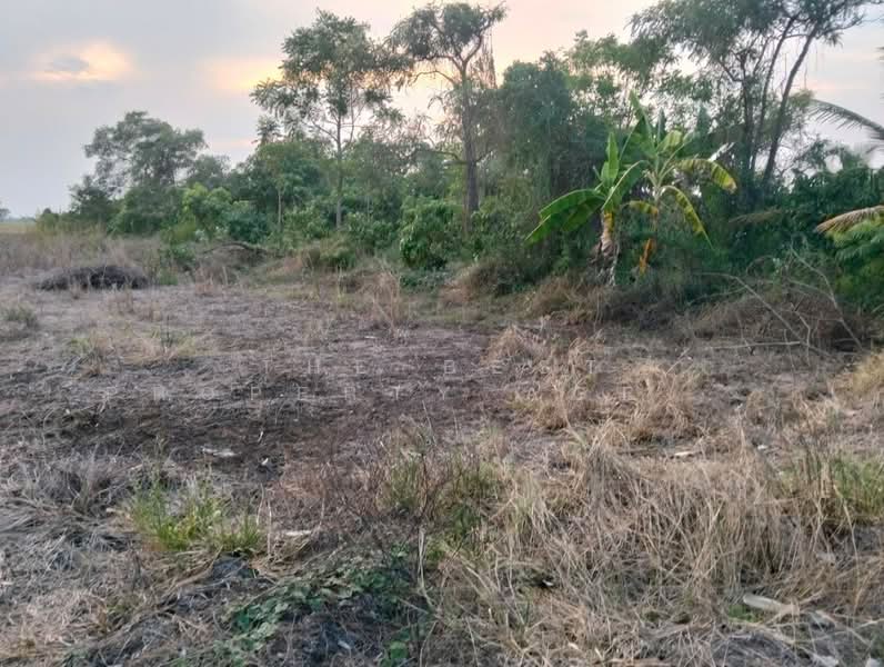 ที่ดินสามโก้ อ่างทอง, Ang Thong, Ratsadorn Pattana, Samko, Ang Thong, , 7,732 sqm, Land For Sale, by The Best Property Agent กิต, 500236980 - DDproperty.com