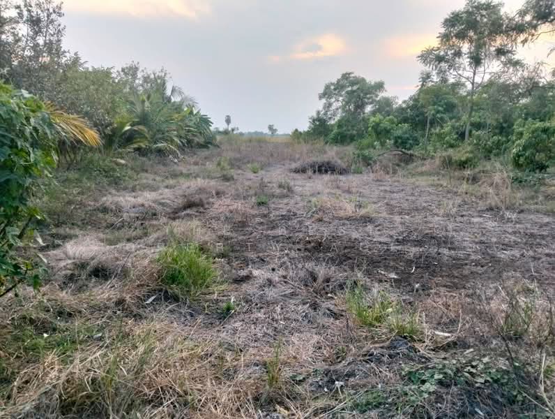 ที่ดินสามโก้ อ่างทอง, Ang Thong, Ratsadorn Pattana, Samko, Ang Thong, , 7,732 sqm, Land For Sale, by The Best Property Agent กิต, 500236980 - DDproperty.com