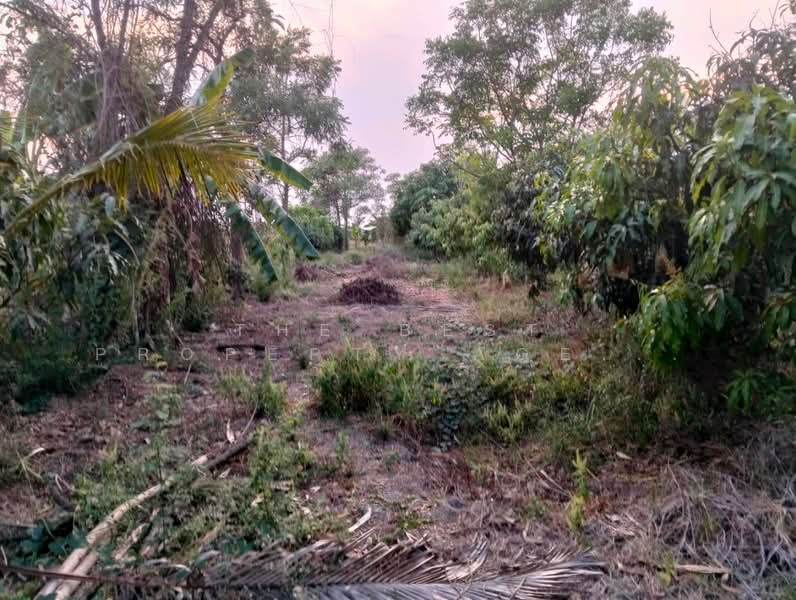 ที่ดินสามโก้ อ่างทอง, Ang Thong, Ratsadorn Pattana, Samko, Ang Thong, , 7,732 sqm, Land For Sale, by The Best Property Agent กิต, 500236980 - DDproperty.com