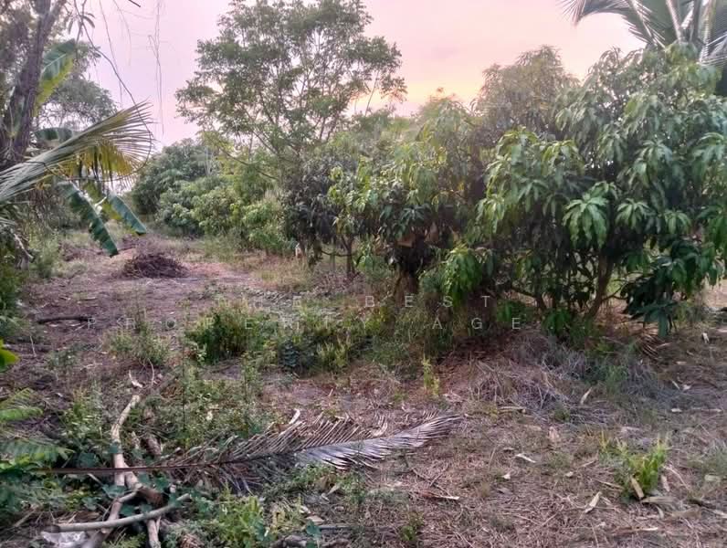 ที่ดินสามโก้ อ่างทอง, Ang Thong, Ratsadorn Pattana, Samko, Ang Thong, , 7,732 sqm, Land For Sale, by The Best Property Agent กิต, 500236980 - DDproperty.com