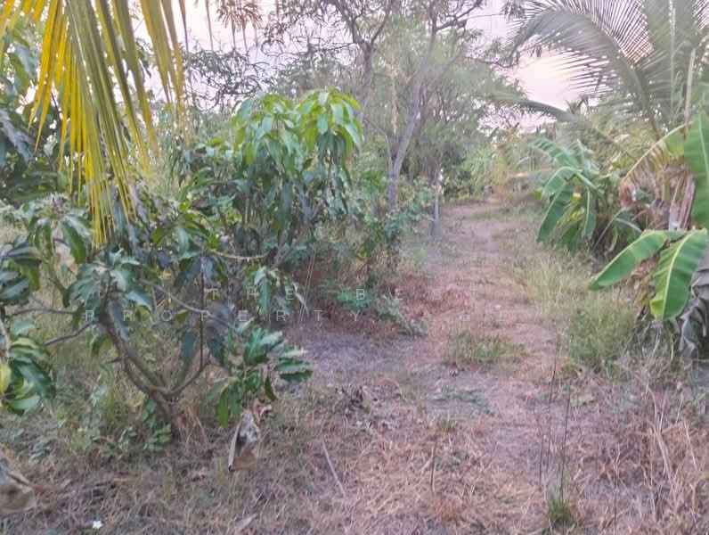 ที่ดินสามโก้ อ่างทอง, Ang Thong, Ratsadorn Pattana, Samko, Ang Thong, , 7,732 sqm, Land For Sale, by The Best Property Agent กิต, 500236980 - DDproperty.com