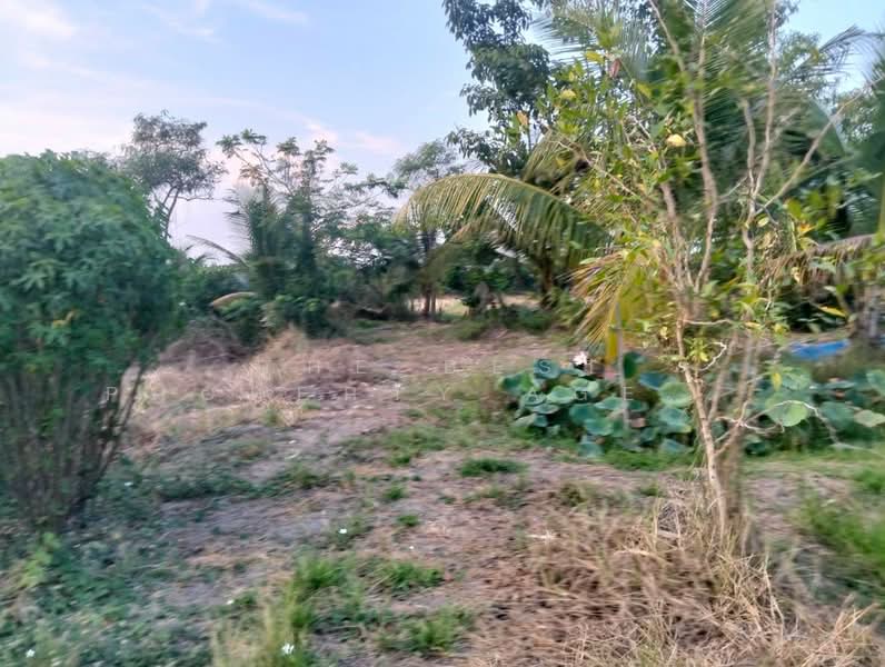 ที่ดินสามโก้ อ่างทอง, Ang Thong, Ratsadorn Pattana, Samko, Ang Thong, , 7,732 sqm, Land For Sale, by The Best Property Agent กิต, 500236980 - DDproperty.com