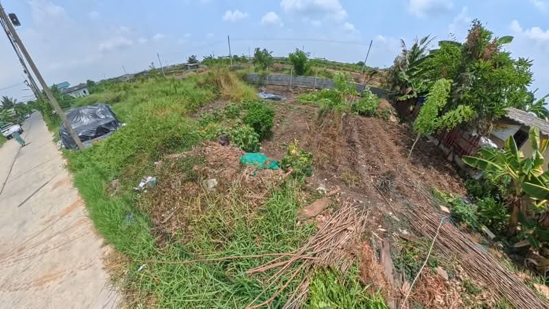 ที่ดิน 1 งาน 21 ตารางวา | ต.คลองหก อ.คลองหลวง ปทุมธานี, Pathum Thani, Khlong Hok, Khlong Luang, Pathum Thani, , 484 sqm, Land For Sale, by Sugunya Tantumnu, 500236998 - DDproperty.com