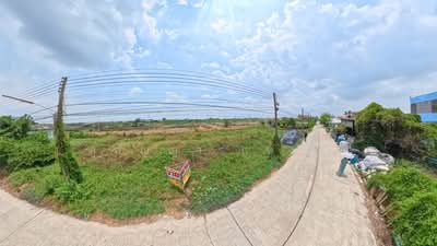 ขาย - ที่ดิน 1 งาน 21 ตารางวา | ต.คลองหก อ.คลองหลวง ปทุมธานี, ปทุมธานี