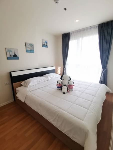 The Selected Kaset-Ngam Wongwan, Bangkok, 18 Ngamwongwan Road, Lat Yao, Chatuchak, Bangkok, 1 Bedroom, 28 sqm, Condo For Rent, by Connex Property, 500237076 - DDproperty.com