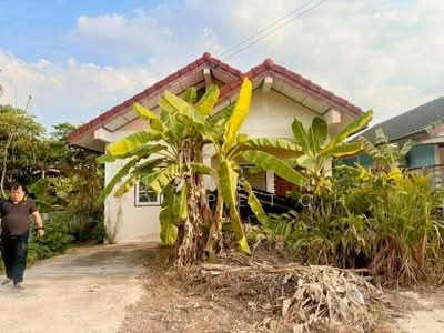 ขาย - บ้านเศรษฐี 1 ทุ่งกราด หนองมะนาว, ชลบุรี