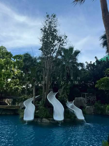 The Riviera Wongamat, Chon Buri (Pattaya), Na Kluea 16 Alley, Na Kloe, Bang Lamung (Pattaya), Chon Buri (Pattaya), Studio, 32 sqm, Condo For Sale, by Thitiporn Pawikham, 500237270 - DDproperty.com