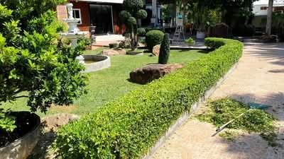 ขาย - บ้าน 3-ห้องนอน, สุราษฎร์ธานี