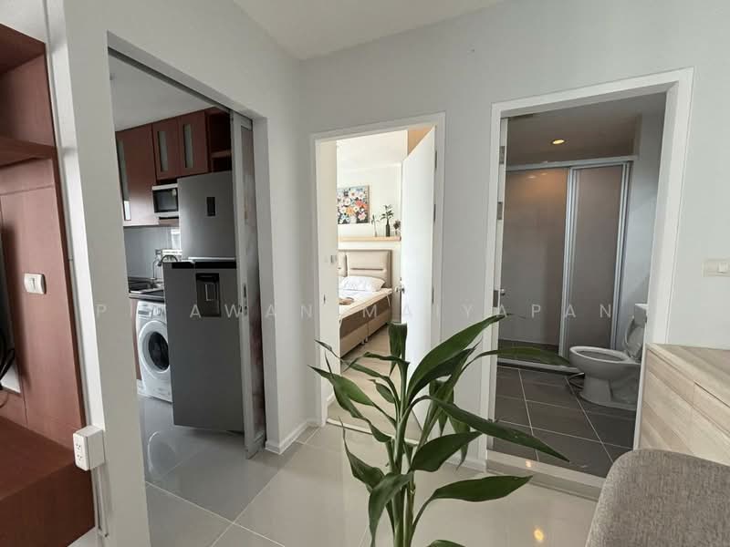 Aspire Sukhumvit 48, Bangkok, Sukhumvit Road, Phra Kanong, Khlong Toei, Bangkok, 2 Bedrooms, 65 sqm, Condo For Rent, by Piyawan Maiyapan, 500237404 - DDproperty.com