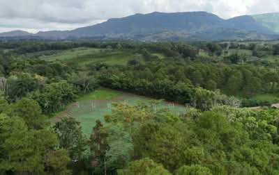 ขาย - แคมป์สน, เพชรบูรณ์