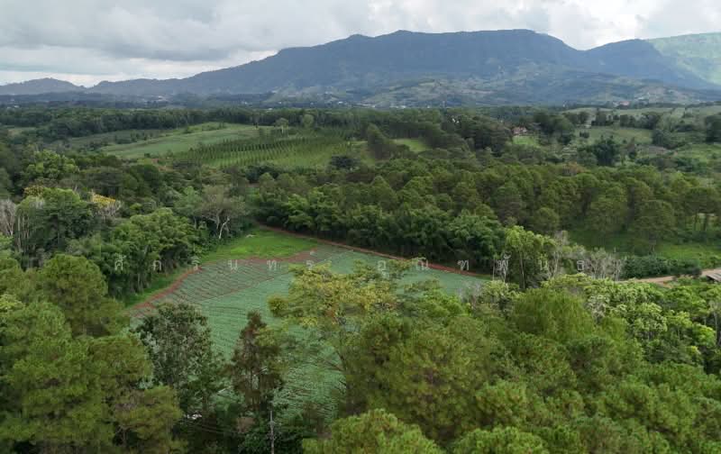 แคมป์สน, เพชรบูรณ์, แคมป์สน, เขาค้อ, เพชรบูรณ์, 20,000 ตร.ม., ที่ดิน ขาย, โดย ศักรินทร์ อุณฑพันธุ์, 500237609 - DDproperty.com