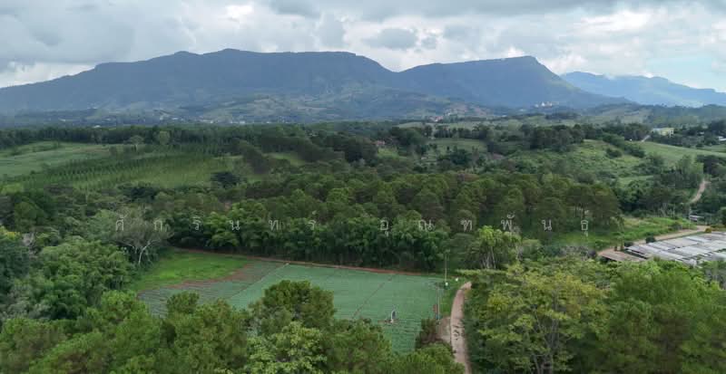 โฉตดที่ดิน แคมป์สน เขาค้อ, Phetchabun, Khaem Son, Khao Kho, Phetchabun, , 20,000 sqm, Land For Sale, by ศักรินทร์ อุณฑพันธุ์, 500237609 - DDproperty.com