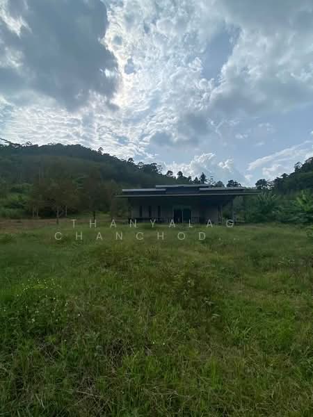 ขาย - บ้าน 3-ห้องนอน, สุราษฎร์ธานี