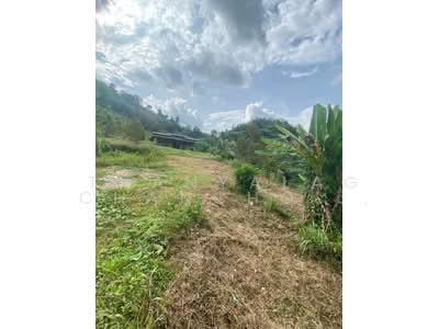 ขาย - บ้าน 3-ห้องนอน, สุราษฎร์ธานี