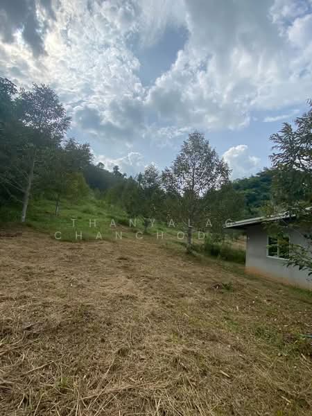 3-BR House, Surat Thani, Pa Ron, Kanchanadit, Surat Thani, 3 Bedrooms, 150 sqm, Single Detached House For Sale, by Thanyalag Chanchodtanakul, 500237671 - DDproperty.com