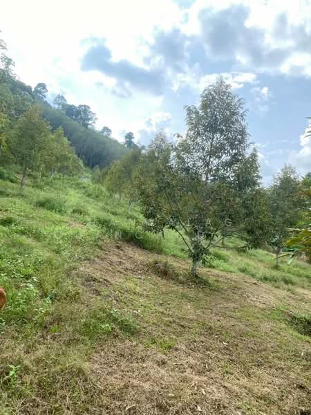 3-BR House, Surat Thani, Pa Ron, Kanchanadit, Surat Thani, 3 Bedrooms, 150 sqm, Single Detached House For Sale, by Thanyalag Chanchodtanakul, 500237671 - DDproperty.com