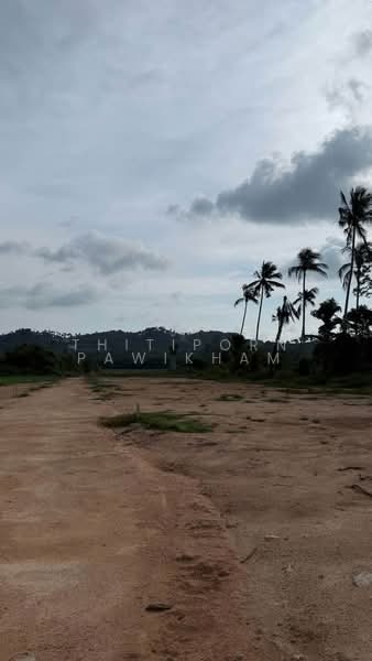 undefined, สุราษฎร์ธานี, ตลิ่งงาม, เกาะสมุย, สุราษฎร์ธานี, 265 ตร.ม., วิลล่า ขาย, โดย Thitiporn Pawikham, 500237731 - DDproperty.com