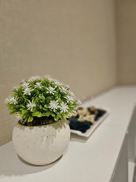 La Vallee Village Town 2, Prachuap Khiri Khan, Hin Lek Fai, Hua Hin, Prachuap Khiri Khan, 3 Bedrooms, 101 sqm, Single Detached House For Rent, by Mantana Techapahaphong, 500237860 - DDproperty.com