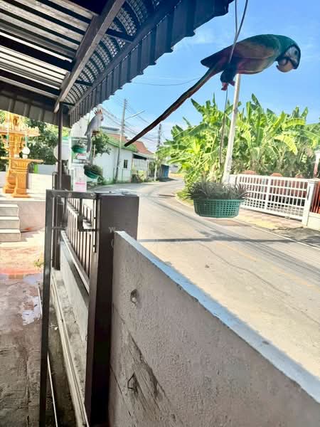 บ้านไร่กล้วย, เพชรบุรี, ต้นมะม่วง, เมืองเพชรบุรี, เพชรบุรี, 250 ตร.ม., บ้านเดี่ยว ขาย, โดย สรภพ ยอดไชย (สีฝุ่น), 500237915 - DDproperty.com