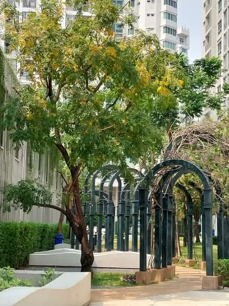 Supalai Wellington 2, Bangkok, Thimruemdam Road, Huai Khwang, Huai Khwang, Bangkok, 1 Bedroom, 42 sqm, Condo For Rent, by Nanyapak Khongkiattipan, 500237972 - DDproperty.com