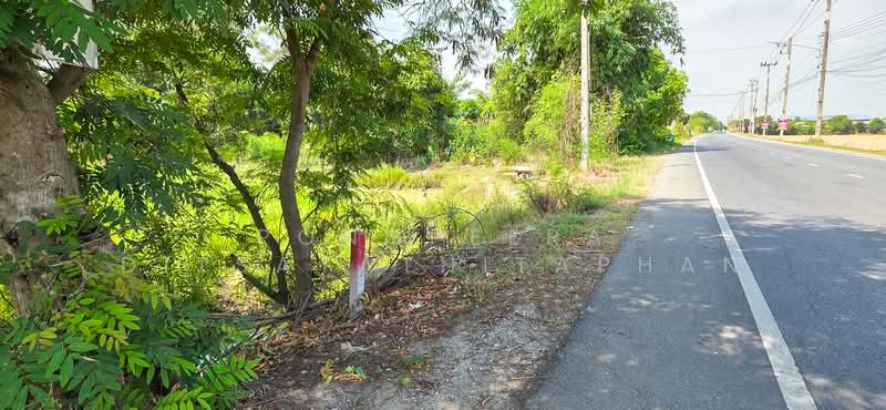 พุทธมณฑล, นครปฐม, คลองโยง, พุทธมณฑล, นครปฐม, 22,020 ตร.ม., ที่ดิน ขาย, โดย Pongpeera Ditsayathitaphan, 500238001 - DDproperty.com