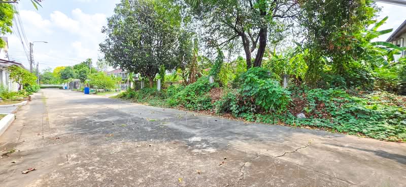 ตลิ่งชัน, กรุงเทพ, บรมราขขนนี, ตลิ่งชัน, ตลิ่งชัน, กรุงเทพ, 960 ตร.ม., ที่ดิน ขาย, โดย Pongpeera Ditsayathitaphan, 500238040 - DDproperty.com