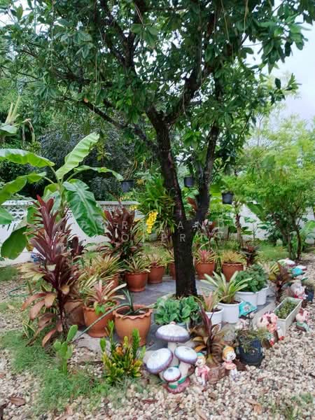 ขายบ้านพร้อมที่ดิน พึ่งสร้างเสร็จ ใกล้ตลาดวังสีสูบ 130 ตร.วา 90 ตร.ม., Uttaradit, Ngiu Ngam, Muang Uttaradit, Uttaradit, 2 Bedrooms, 110 sqm, Single Detached House For Sale, by PortLand Property, 500238088 - DDproperty.com