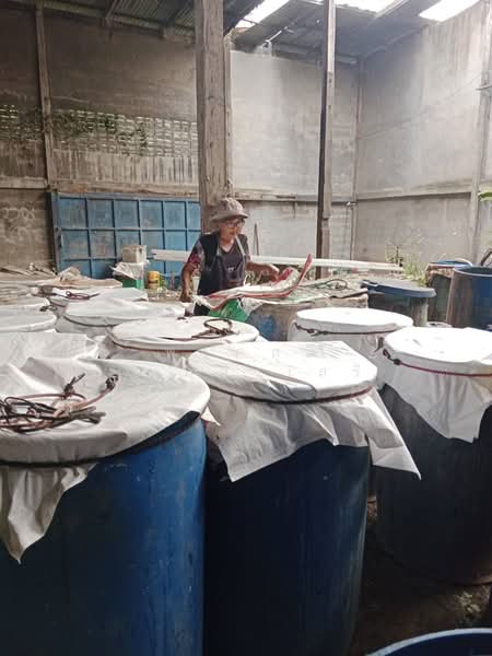 ขายที่ดินพร้อมสวนยางพารา, Sa Kaeo, Benjachorn, Khlong Hat, Sa Kaeo, , 960,000 sqm, Land For Sale, by พงศ์สุธี เหลืองเสรี, 500238100 - DDproperty.com