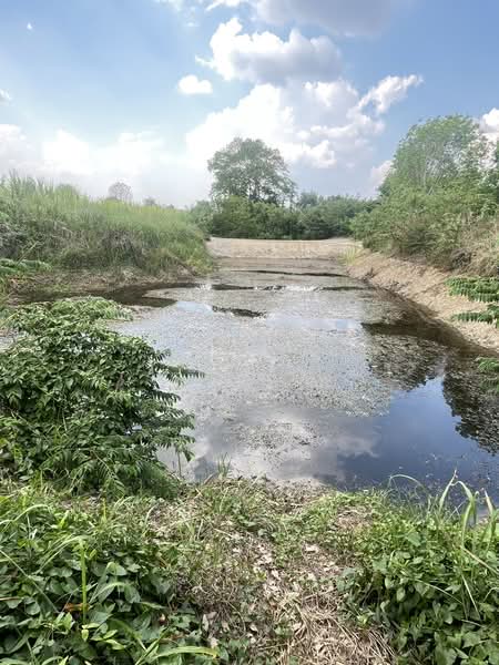 ขายที่ดินพร้อมสวนยางพารา, Sa Kaeo, Benjachorn, Khlong Hat, Sa Kaeo, , 960,000 sqm, Land For Sale, by พงศ์สุธี เหลืองเสรี, 500238100 - DDproperty.com