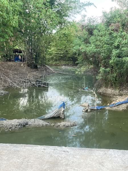 ขายที่ดินพร้อมสวนยางพารา, สระแก้ว, เบญจขร, คลองหาด, สระแก้ว, 960,000 ตร.ม., ที่ดิน ขาย, โดย พงศ์สุธี เหลืองเสรี, 500238100 - DDproperty.com
