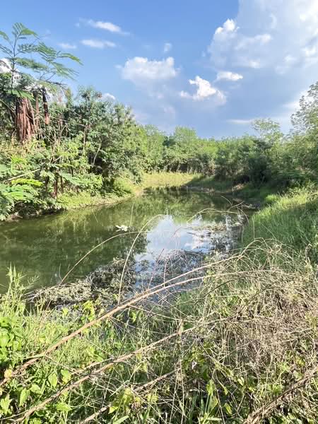 ขายที่ดินพร้อมสวนยางพารา, Sa Kaeo, Benjachorn, Khlong Hat, Sa Kaeo, , 960,000 sqm, Land For Sale, by พงศ์สุธี เหลืองเสรี, 500238100 - DDproperty.com