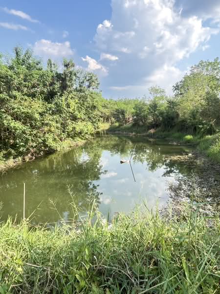 ขายที่ดินพร้อมสวนยางพารา, สระแก้ว, เบญจขร, คลองหาด, สระแก้ว, 960,000 ตร.ม., ที่ดิน ขาย, โดย พงศ์สุธี เหลืองเสรี, 500238100 - DDproperty.com