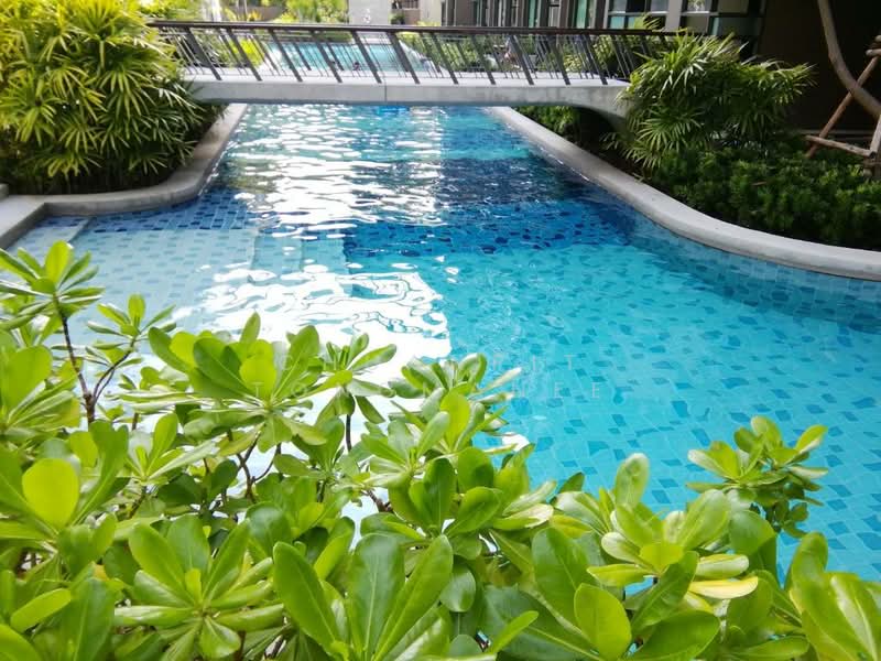 Rain Cha Am-Hua Hin : เรน ชะอำ - หัวหิน, เพชรบุรี, 429 ถนนเพชรเกษม, ชะอำ, ชะอำ, เพชรบุรี, 40 ตร.ม., คอนโด ขาย, โดย Chuanpit Tongmanee, 500238104 - DDproperty.com