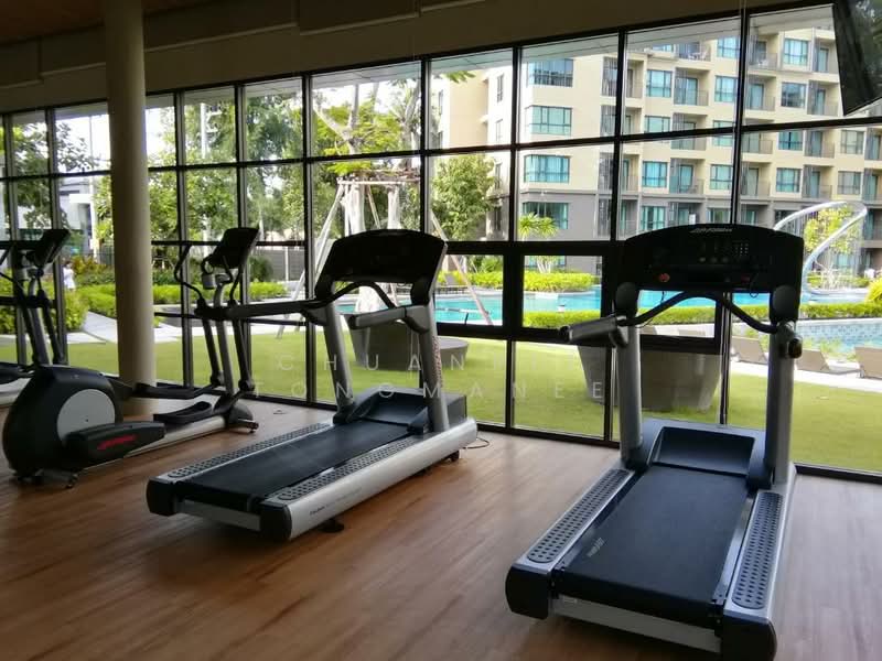 Rain Cha Am-Hua Hin, Phetchaburi, 429 Petchakasem Road, Cha-am, Cha-Am, Phetchaburi, 1 Bedroom, 40 sqm, Condo For Sale, by Chuanpit Tongmanee, 500238104 - DDproperty.com