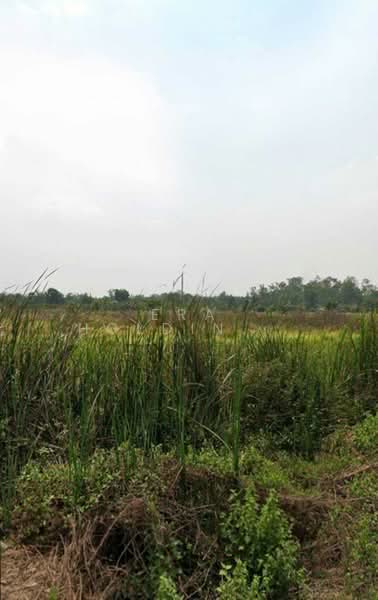 For Sale - คลองหกตะวันออก 34/1, Pathum Thani