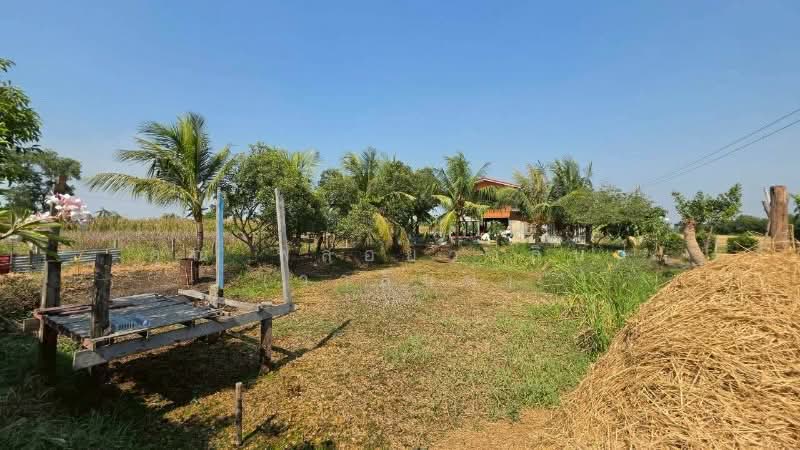 บ้านสวน 250 ตารางวา ถนนรังสิต-นครนายก คลอง 14 องครักษ์, Nakhon Nayok, รังสิต-นครนายก, Shum Pol, Ongkharak, Nakhon Nayok, 1 Bedroom, 120 sqm, Single Detached House For Sale, by คุณ พลอยวาลินน์ (วาลินน์), 500238365 - DDproperty.com