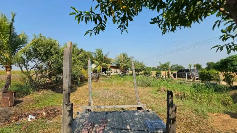 บ้านสวน 250 ตารางวา ถนนรังสิต-นครนายก คลอง 14 องครักษ์, Nakhon Nayok, รังสิต-นครนายก, Shum Pol, Ongkharak, Nakhon Nayok, 1 Bedroom, 120 sqm, Single Detached House For Sale, by คุณ พลอยวาลินน์ (วาลินน์), 500238365 - DDproperty.com