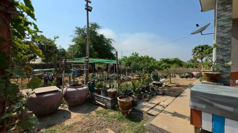 บ้านสวน 250 ตารางวา ถนนรังสิต-นครนายก คลอง 14 องครักษ์, Nakhon Nayok, รังสิต-นครนายก, Shum Pol, Ongkharak, Nakhon Nayok, 1 Bedroom, 120 sqm, Single Detached House For Sale, by คุณ พลอยวาลินน์ (วาลินน์), 500238365 - DDproperty.com