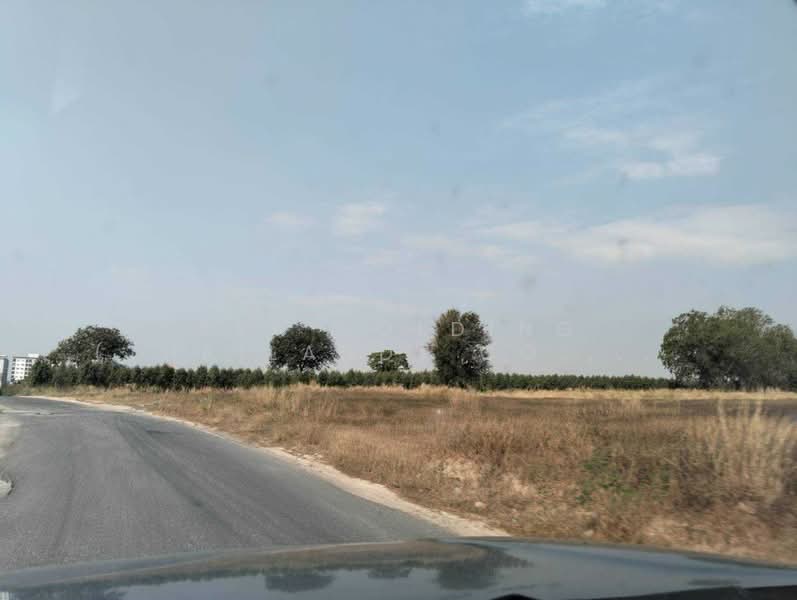 ผังเหลือง, ระยอง, มาบยางพร, ปลวกแดง, ระยอง, 102,208 ตร.ม., ที่ดิน ขาย, โดย ERA Holding (Thailand) Co., Ltd., 500238428 - DDproperty.com