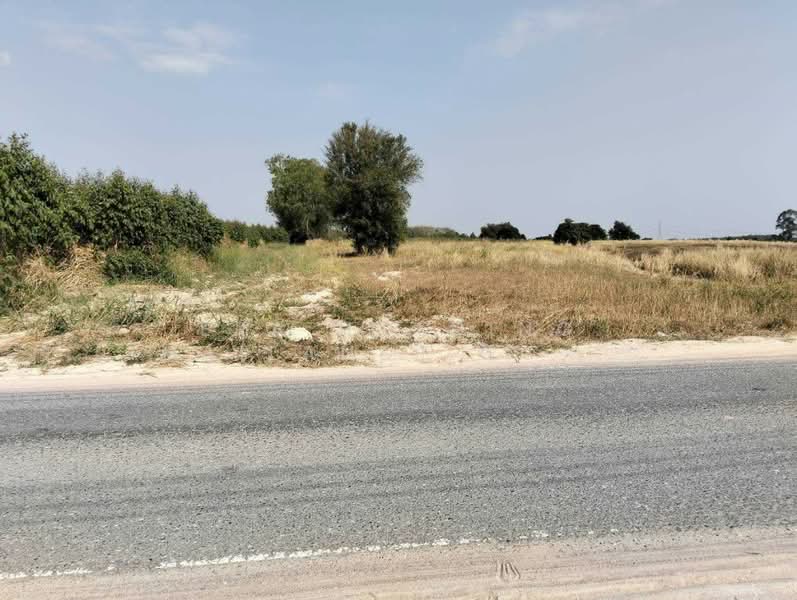 ผังเหลือง, ระยอง, มาบยางพร, ปลวกแดง, ระยอง, 102,208 ตร.ม., ที่ดิน ขาย, โดย ERA Holding (Thailand) Co., Ltd., 500238428 - DDproperty.com