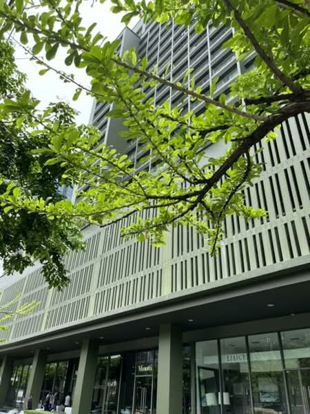 Noble Solo, Bangkok, 988 Thong Lo, Khlong Tan Nua, Watthana, Bangkok, 1 Bedroom, 61 sqm, Condo For Rent, by Nattapol Jedsadathitikul, 500238483 - DDproperty.com