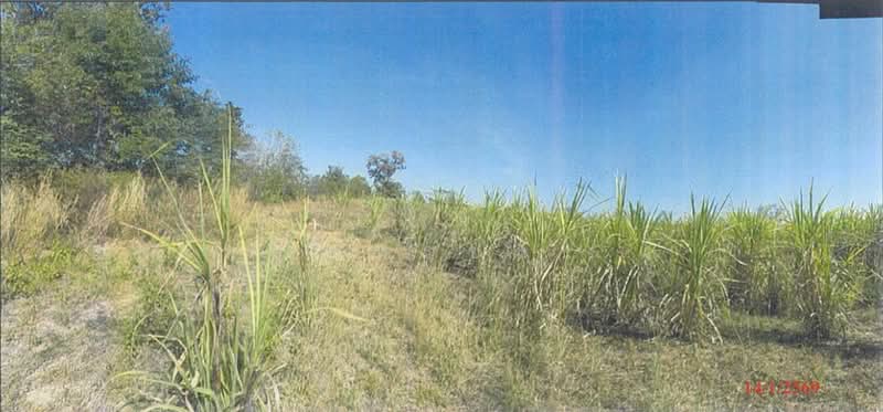 ที่ดินเปล่า, Buri Ram, Nong Kathing, Lam Plai Mat, Buri Ram, , 1 sqm, Retail Space For Sale, by ภทรชล, 500238568 - DDproperty.com