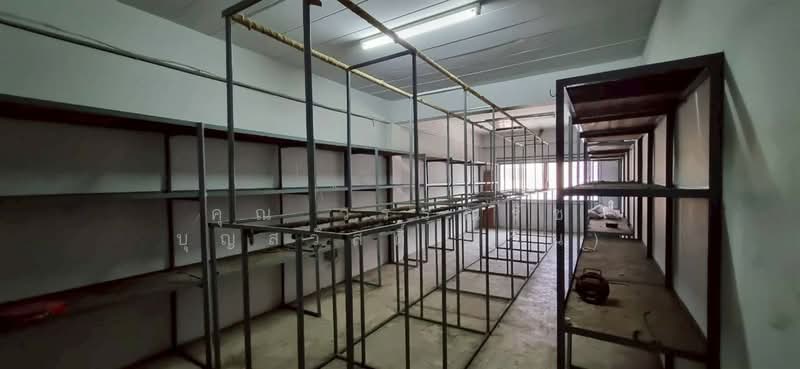 อาคารพาณิชย์ 4.5 ชั้น 76 ตร.ว. อาคารพาณิชย์ ซอยลาดพร้าว80 แยก22 ถนนลาดพร้าว80, กรุงเทพ, ถนนลาดพร้าว, พลับพลา, วังทองหลาง, กรุงเทพ, 400 ตร.ม., ตึกแถว-อาคารพาณิชย์ ขาย, โดย คุณ วรรณรัช บุญสวัสดิ์ (วิน), 500238614 - DDproperty.com