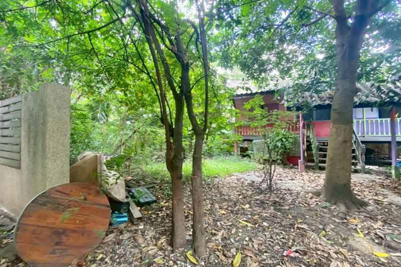 บูติกรีสอร์ท พระราม 9, กรุงเทพ, สวนหลวง, กรุงเทพ, 3,884 ตร.ม., ที่ดิน ขาย, โดย คุณเอ, 500238679 - DDproperty.com
